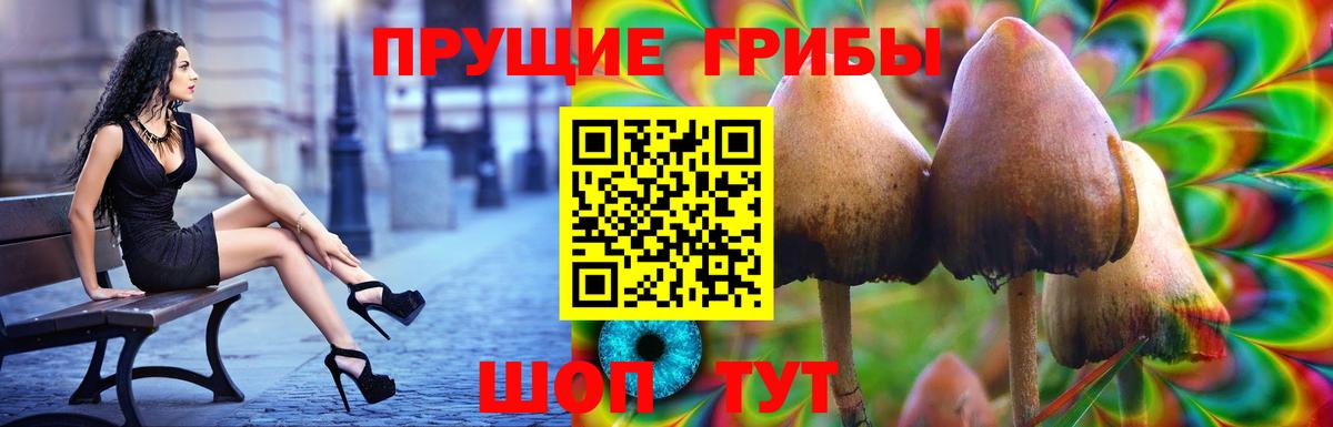 Мелеуз  Псилоцибиновые грибы GOLDEN TEACHER  Вход с VPN  Псилоцибиновые грибы Cubensis 